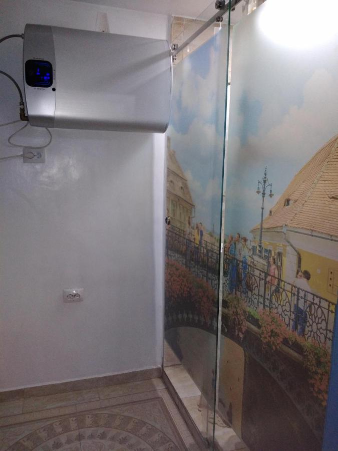 Vintagetrib Apartment Sibiu Luaran gambar